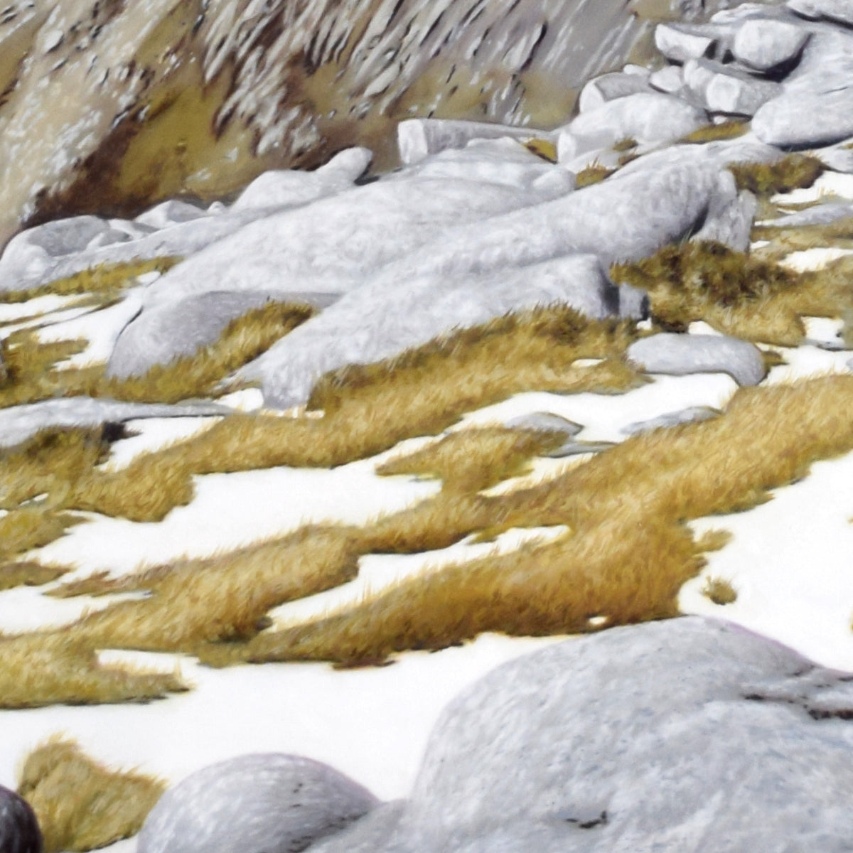 Goatfell - Canvas (Framed)