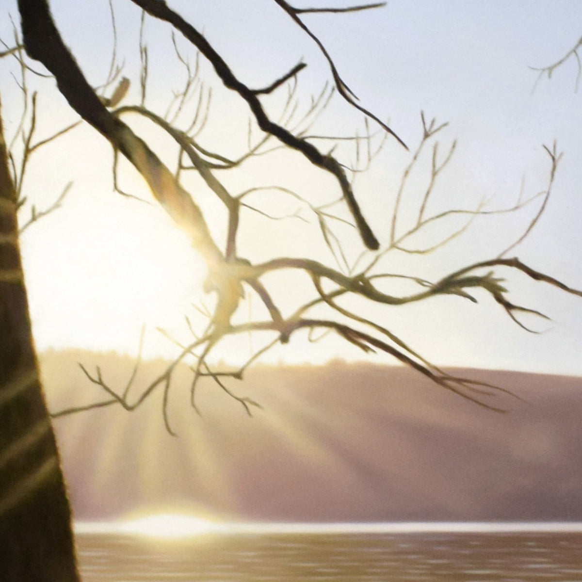 Golden Hour - Framed Canvas