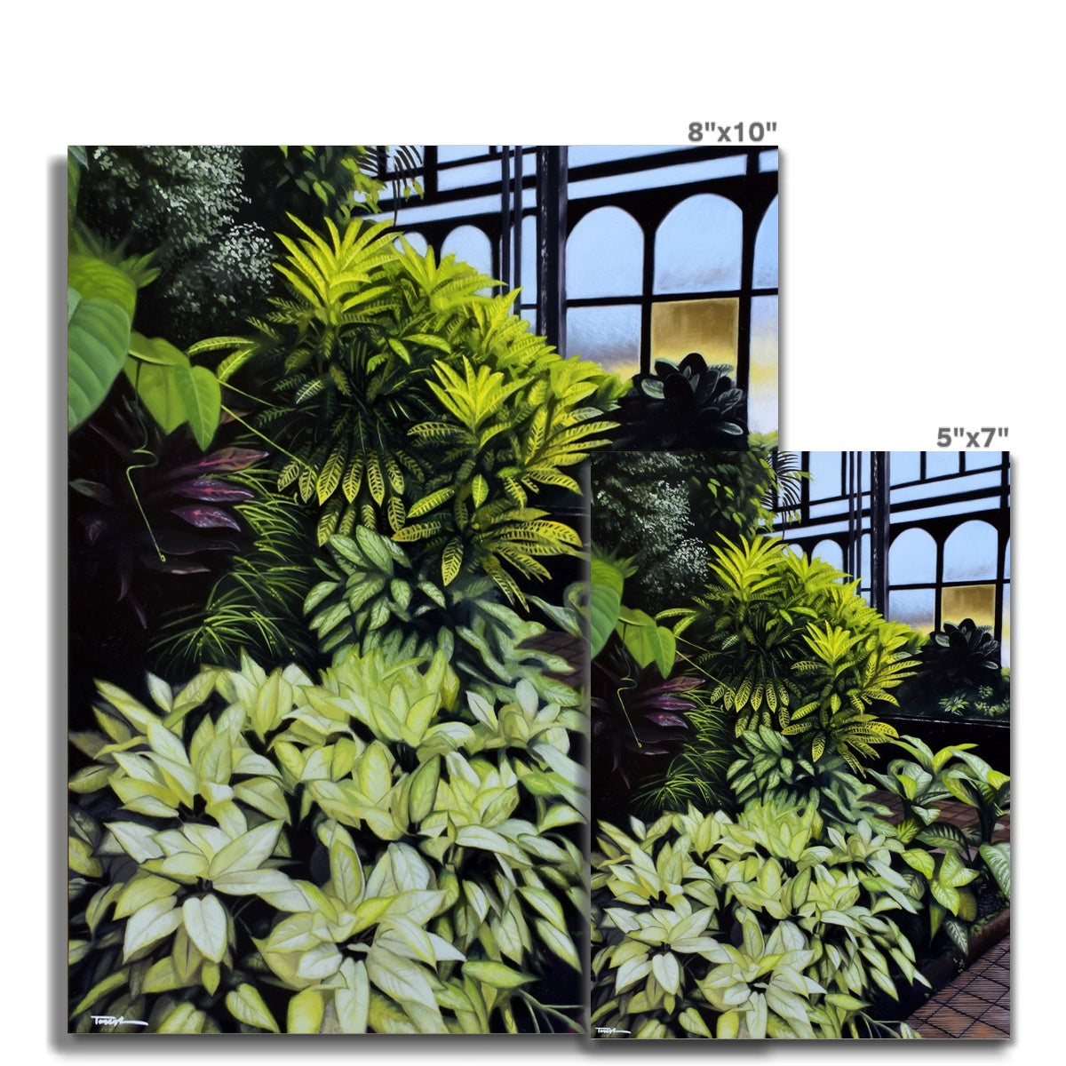 Glasgow Botanic Gardens - Art Print