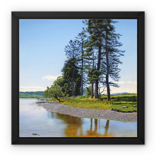 Dalilea - Framed Canvas