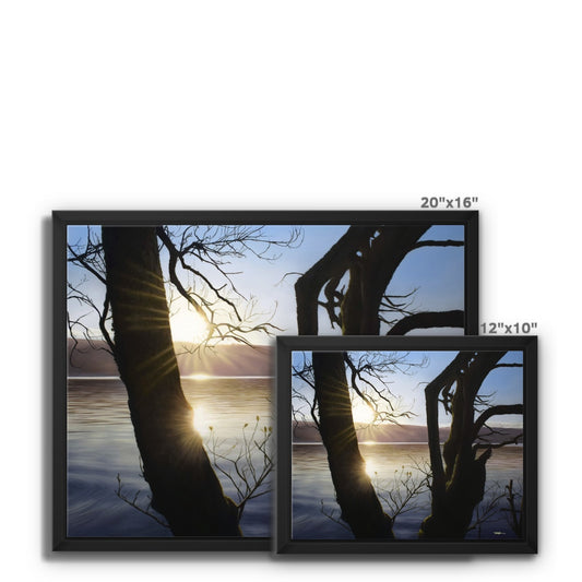 Golden Hour - Framed Canvas