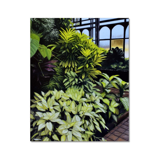 Glasgow Botanic Gardens - Art Print